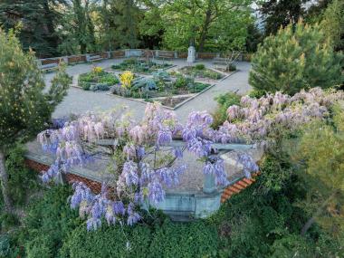 Alter Botanischer Garten