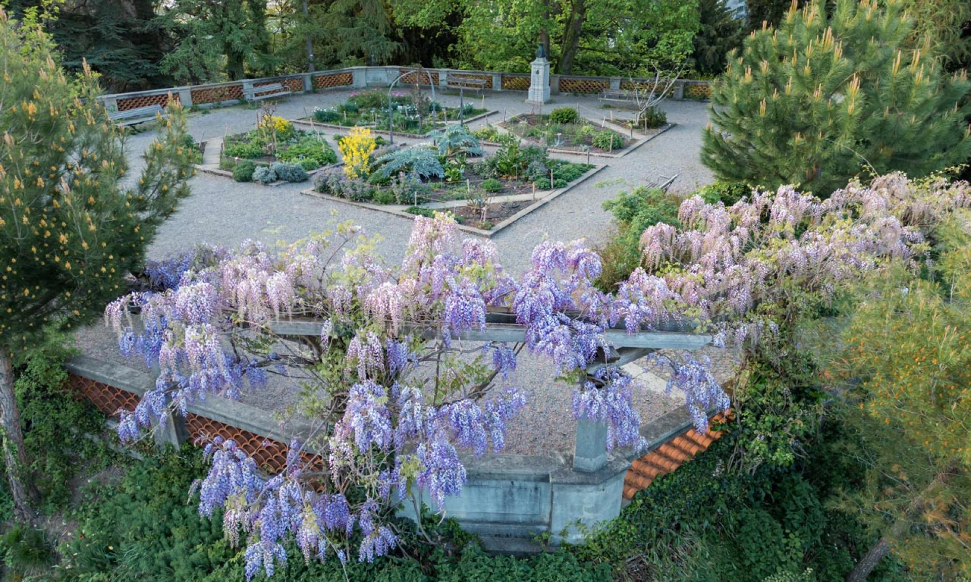 Alter Botanischer Garten