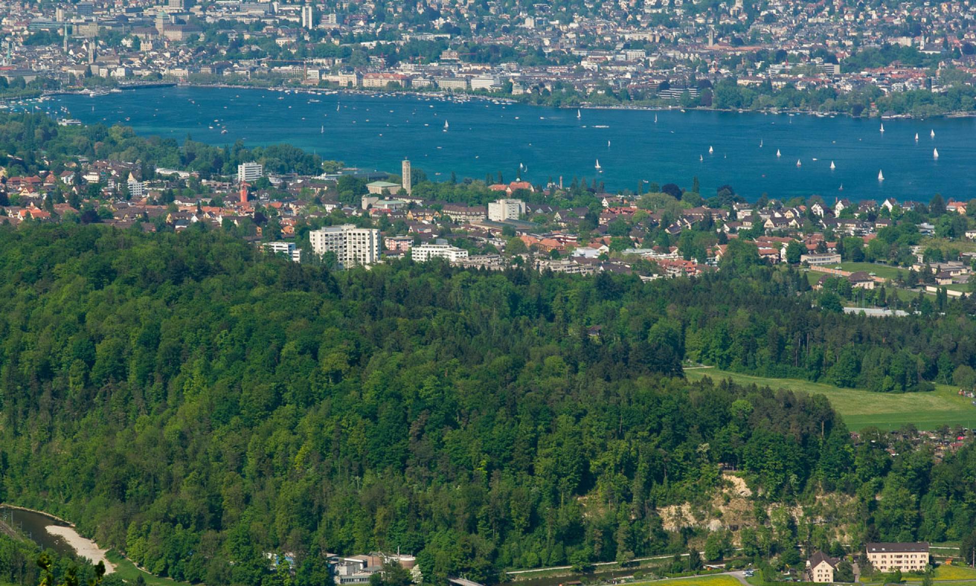 View From Felsenegg