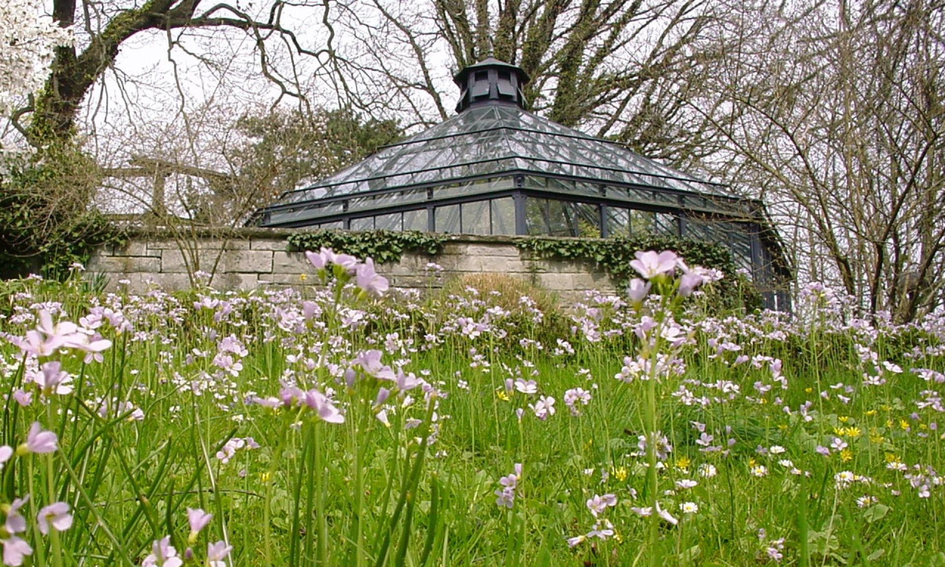 Historischer Glas-Pavillon im Alten Botanischen Garten in Zürich