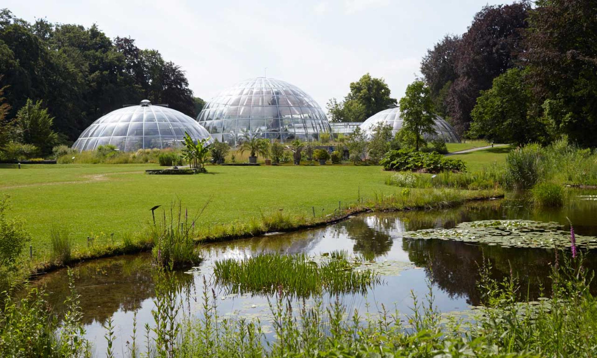 Botanical Garden, Zurich