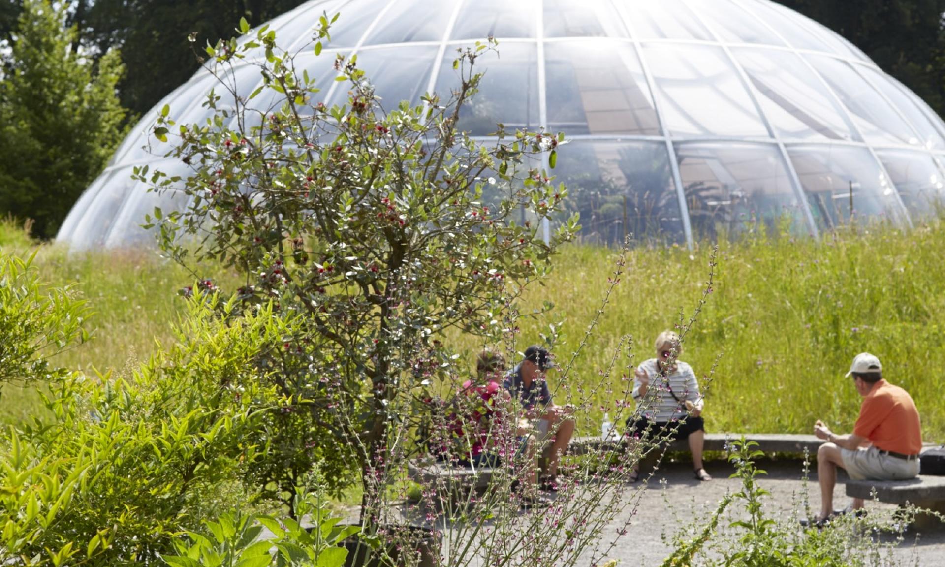 Take a break in the old Botanical Garden