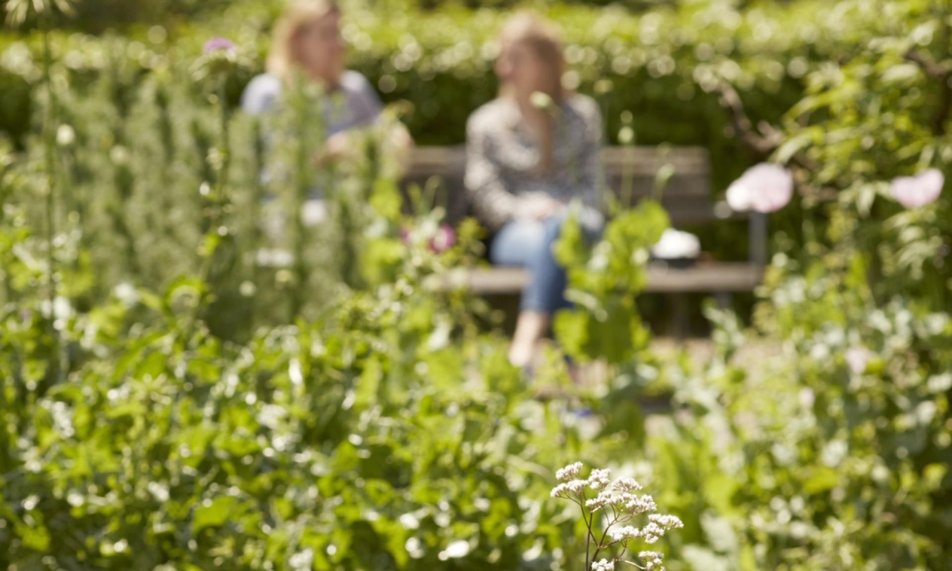 Enjoy the Botanical Garden in the middle of the town