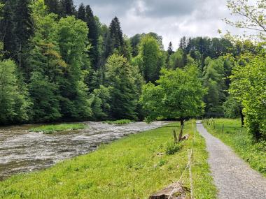 Sihl Erlebnisweg